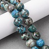 Dyed Natural Ocean Agate/Ocean Jasper Round Beads Strands G-E331-30A-4