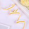 Polyester Ribbon SRIB-F008-A10-19mm-3