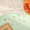 Preciosa® MAXIMA Crystal Fancy Stones X-PRC-FD10-00030-200-2