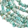 Natural Amazonite Beads Strands G-K409-A01-01-4