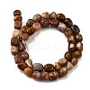 Natural Petrified Wood Beads Strands G-L621-C11-01-3