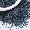 MIYUKI Delica Beads SEED-X0054-DB1052-1