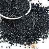 Electroplate Glass Seed Beads SEED-H003-10K-1