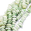 Natural Myanmar Jade/Burmese Jade Beads Strands G-E569-J14-1