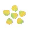 Imitation Candy Food Style Resin Cabochons RESI-R461-01C-1