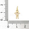 Brass Micro Pave Cubic Zirconia Pendants ZIRC-I356-17G-A11-3