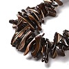 Natural Trochid Shell Beads Strands SSHEL-G023-05A-3