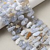 Natural Blue Lace Agate Beads Strands G-L649-A02-01-1