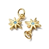 Rack Plating Brass Micro Pave Cubic Zirconia Pendants X-KK-P235-06G-2