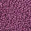 TOHO 8/0 Round Beads X-SEED-TR08-0563F-2