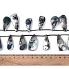 AB Color Plated Dyed Natural Freshwater Shell Beads Strands SHEL-T020-55B-4