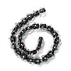 Handmade Lampwork Beads Strands LAMP-D015-08D-2