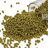 TOHO 11/0 Round Beads SEED-XTR11-2630F-1
