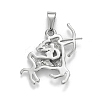 Non-Tarnish 304 Stainless Steel Pendants STAS-D165-14P-02-2