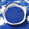 Baking Paint Glass Seed Beads SEED-P006-03A-25-2