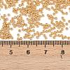 MIYUKI Round Rocailles Beads X-SEED-G009-RR4202-4
