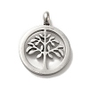 Non-Tarnish 304 Stainless Steel Pendants STAS-M311-09P-1