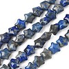 Natural Lapis Lazuli Star Beads Strands G-Z080-A05-2