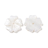Natural White Shell Beads SSHEL-C011-08-1