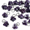 Faceted Transparent Glass Charms GLAA-T024-06A-1