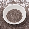 MIYUKI Delica Beads SEED-X0054-DB1749-2
