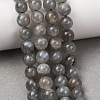 Natural Labradorite Beads Strands G-H326-01-6MM-1-2