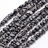 Natural Snowflake Obsidian Beads Strands G-F465-11-1
