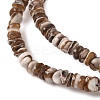 Natural Black Lip Shell Beads Strands SSHEL-F304-02A-4