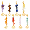8Pcs 8 Styles Gemstone Pendant Decorations HJEW-FH00002-1