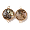 Natural Abalone Shell/Paua Shell Connector Charms KK-WH0031-05A-1