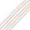 Natural Freshwater Shell Dyed Beads Strands SHEL-M018-11-12-2