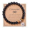 Natural Tiger Eye & Agate Beaded Stretch Bracelets PW-WG52B58-09-1