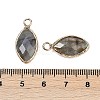 Natural Labradorite Faceted Pendants G-G193-01G-10-3