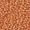 TOHO Round Seed Beads X-SEED-TR08-0301-2