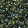Picasso Baking Paint Glass Seed Beads SEED-A032-02A-20-3