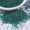 MIYUKI Delica Beads X-SEED-J020-DB0919-1