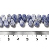 Natural Blue Spot Jasper Beads Strands G-B064-B59-5