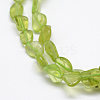 Natural Olive Quartz Beads Strands G-P406-48-3