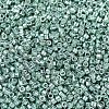 MIYUKI Delica Beads SEED-X0054-DB0415-3