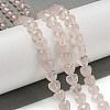 Natural Rose Quartz Beads Strands G-P544-E08-01-2