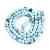 Baking Paint Glass Beads Strands DGLA-N013-8mm-03-2