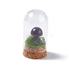 Natural Amethyst Mushroom Display Decoration with Glass Dome Cloche Cover G-E588-03H-2
