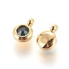 304 Stainless Steel Rhinestone Charms STAS-P237-10G-07-2