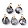Natural Map Stone/Picasso Stone/Picasso Jasper Charms G-N326-58B-2