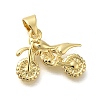 Rack Plating Brass with Cubic Zirconia Pendants KK-Z086-32G-1