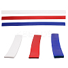 Silicone Rolling Strip Set for Independence Day AJEW-WH0342-18-1