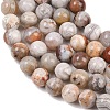Natural Mexican Agate Beads Strands G-G345-B01-6mm-4