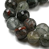 Natural Afican Bloodstone Beads Strands G-C079-B02-01-4