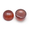 Natural Carnelian Cabochons X-G-P393-R03-10mm-2