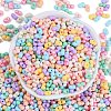 Glass Seed Beads SEED-K010-03K-3